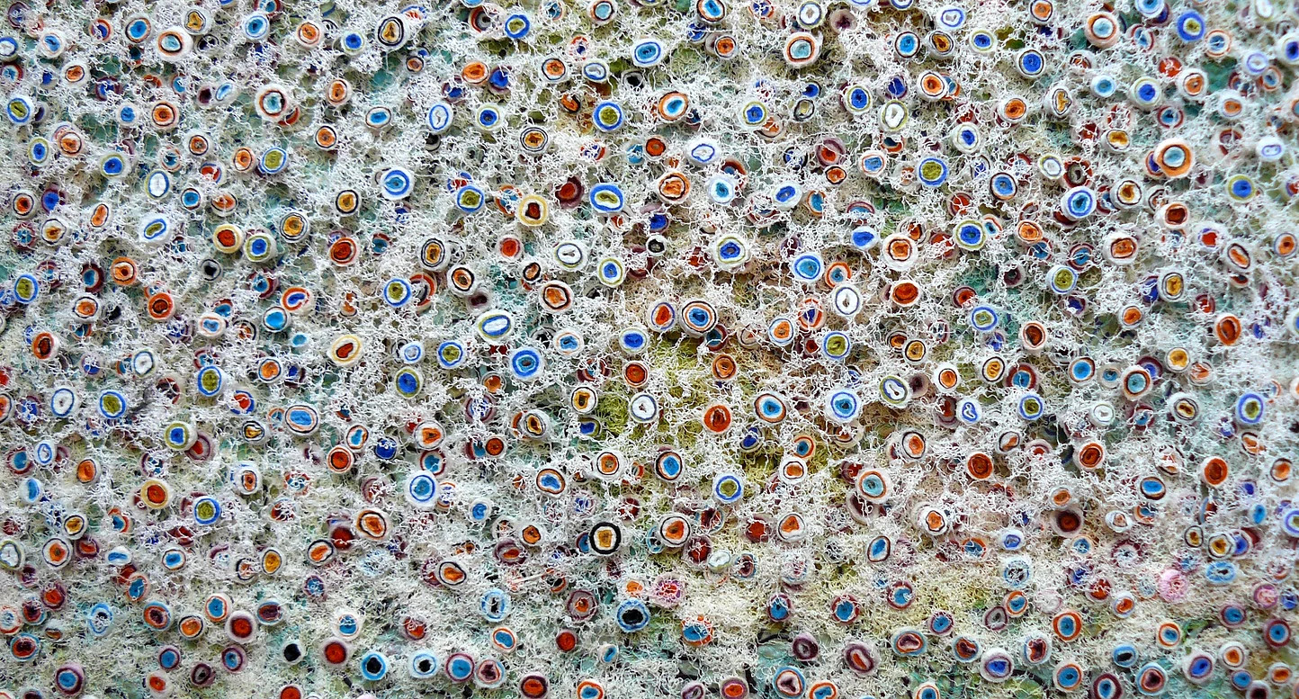 Maia Tsinamdzgvrishvili: Fatasy Shells, Detail.
